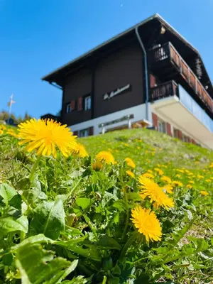 Ein Garten an der Unterkunft Chalet La Montanara