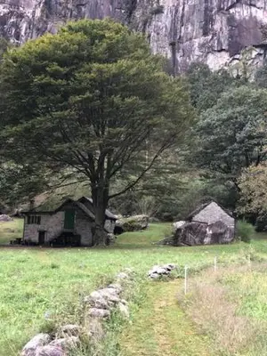 Naturlandschaft in der Nähe of country house