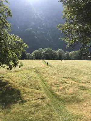 Naturlandschaft in der Nähe of country house