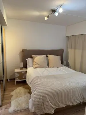 Ein Bett oder Betten in einem Zimmer der Unterkunft Appartement central avec Spa