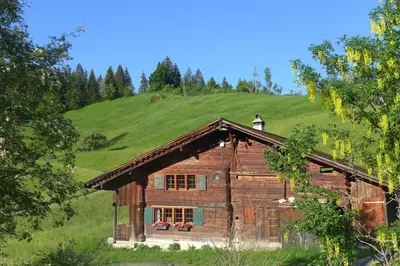 Naturlandschaft in der Nähe des Ferienhauses
