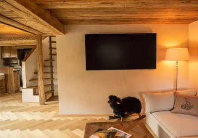 TV/Unterhaltungsangebot in der Unterkunft Modernes Chalet mit Sauna, Whirlpool und Bergblick
