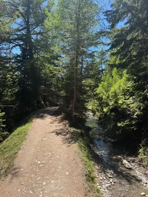 Naturlandschaft in der Nähe der Ferienwohnung