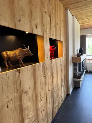 TV/Unterhaltungsangebot in der Unterkunft Cozy apartment Crans-Montana