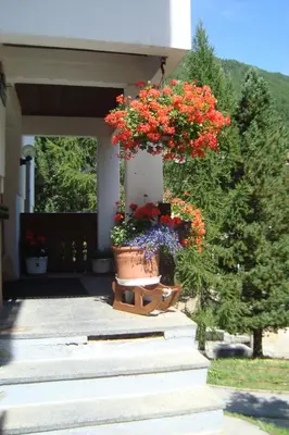 Ein Garten an der Unterkunft Haus Kandahar