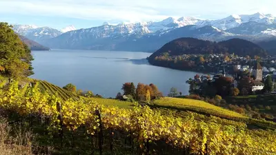 Naturlandschaft in der Nähe des Privatzimmers