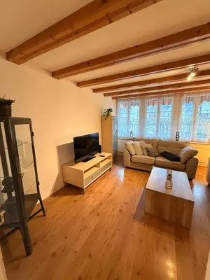 TV/Unterhaltungsangebot in der Unterkunft 3,5 Zimmer Wohnung Eigerblick zentral in Grindelwald