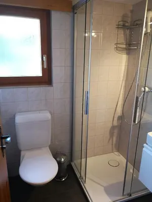 Ein Badezimmer in der Unterkunft Chalet Delphin