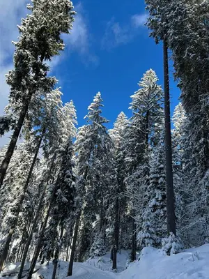 Chalet Mon Abri im Winter