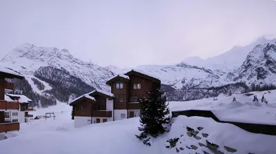 Hirsch im Winter