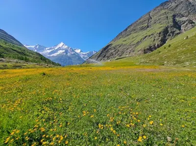 Naturlandschaft in der Nähe der Ferienwohnung