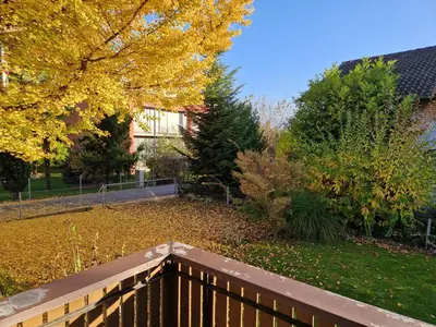 Ein Garten an der Unterkunft Swiss Chalet direkt am Thunersee