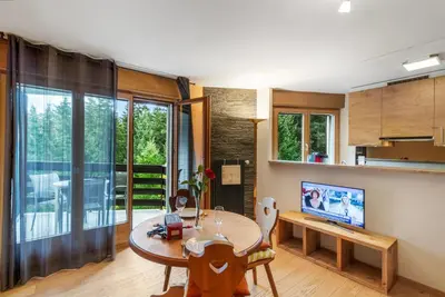 TV/Unterhaltungsangebot in der Unterkunft Chaleureux studio avec vue sur les montagnes