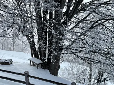 Chalet Bildji im Winter