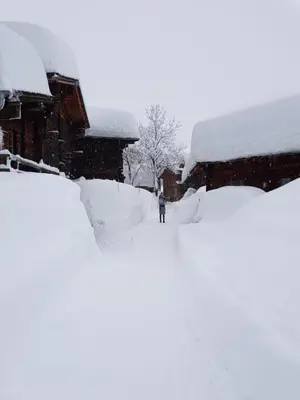 Stall Ferienhaus im Winter