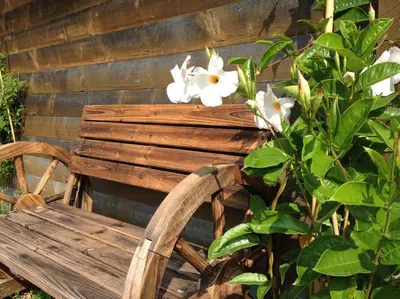 Ein Garten an der Unterkunft Übernachten in Blockhaus