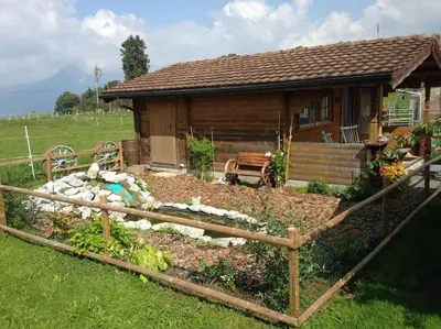 Ein Garten an der Unterkunft Übernachten in Blockhaus