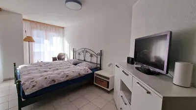 TV/Unterhaltungsangebot in der Unterkunft An der Langlaufloipe - Studio Arnica