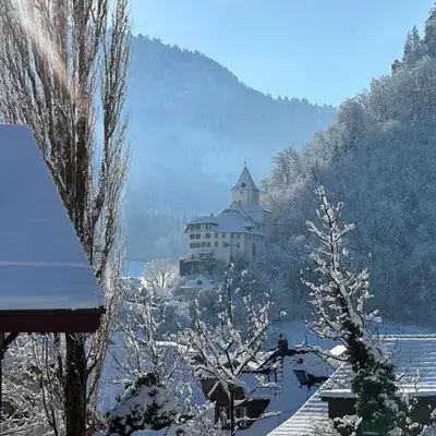 Chalet-Simmi