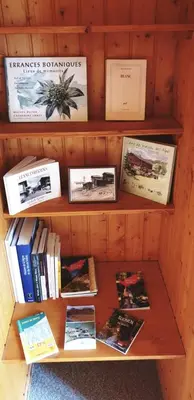 Die Bibliothek in der Ferienwohnung