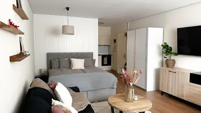 TV/Unterhaltungsangebot in der Unterkunft Grand studio au cœur de Crans et au pied des pistes