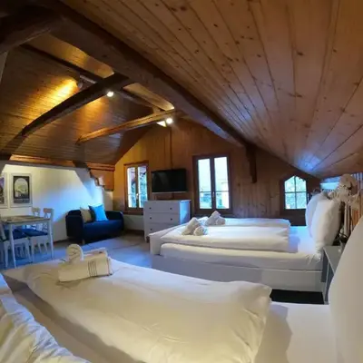 Panorama Apartment