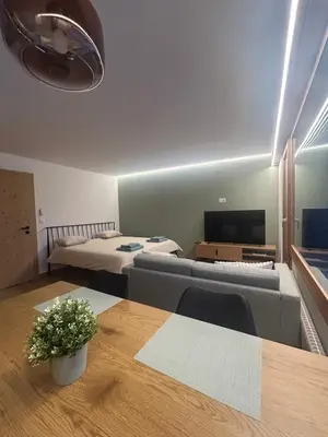 TV/Unterhaltungsangebot in der Unterkunft Studio moderne et cosy avec piscine et sauna