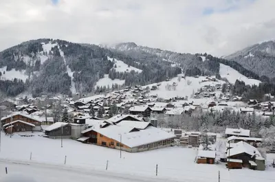 Chalet Wandelgrün im Winter