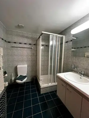 Ein Badezimmer in der Unterkunft Apartment Aphrodite West magnificent Eiger view