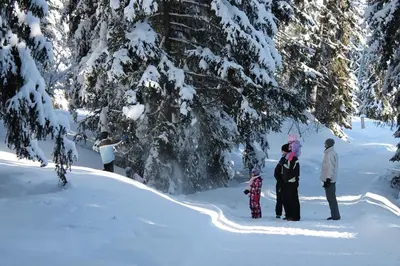 Gäste, die in der Unterkunft Thyon 4pièces, proche des pistes übernachten