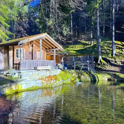 Idyllic Farm Cabin with Scenic Views and Concierge by SwissHut