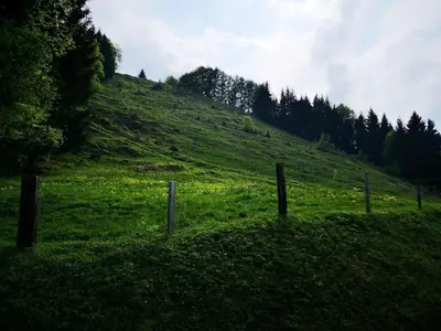 Naturlandschaft in der Nähe der Ferienwohnung