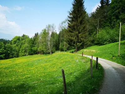 Naturlandschaft in der Nähe der Ferienwohnung