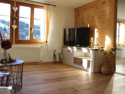TV/Unterhaltungsangebot in der Unterkunft Apartment Flott by Interhome