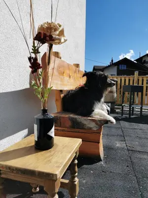 Grundriss der Unterkunft Ferienhaus Allalin