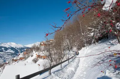 Greppons O 020 - MOUNTAIN apartment 5 pers im Winter