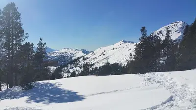 Appartement bei Selbstversorger auf Kleinbauernhof im Winter