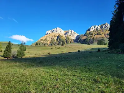 Naturlandschaft in der Nähe der Ferienwohnung