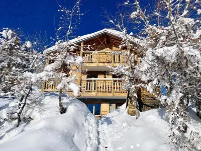 Chalet in Thyon-Les Collons im Winter