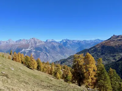 Naturlandschaft in der Nähe des Chalets