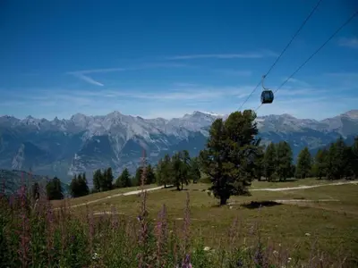 Naturlandschaft in der Nähe der Ferienwohnung