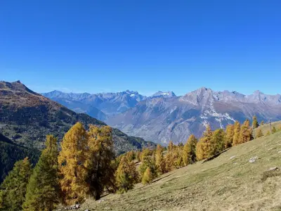 Naturlandschaft in der Nähe des Ferienhauses