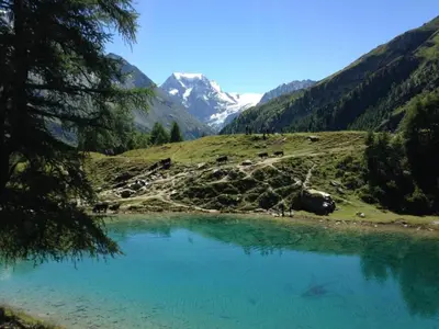 Naturlandschaft in der Nähe des Chalets