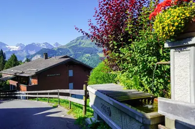 Naturlandschaft in der Nähe der Ferienwohnung
