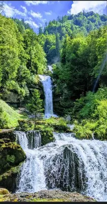 Naturlandschaft in der Nähe der Ferienwohnung