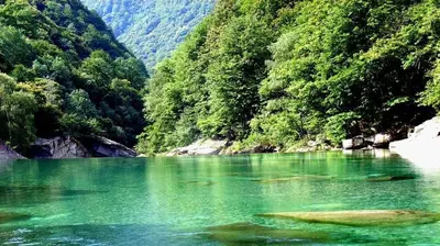 Naturlandschaft in der Nähe des Ferienhauses