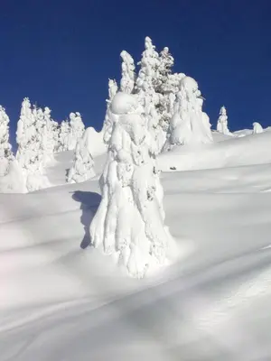 Panoramalodge Aatos im Winter