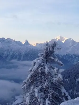 Ein allgemeiner Bergblick oder ein Berglick von der Ferienwohnung aus