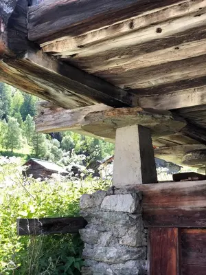 Ein Garten an der Unterkunft Immeuble Mont Noble