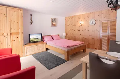 TV/Unterhaltungsangebot in der Unterkunft MOM - Alpine Boutique Apartments, Grindelwald gletscher, Eiger View Terrace Studio